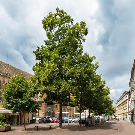Ferienwohnung Le Griffon Colmar Exterior foto