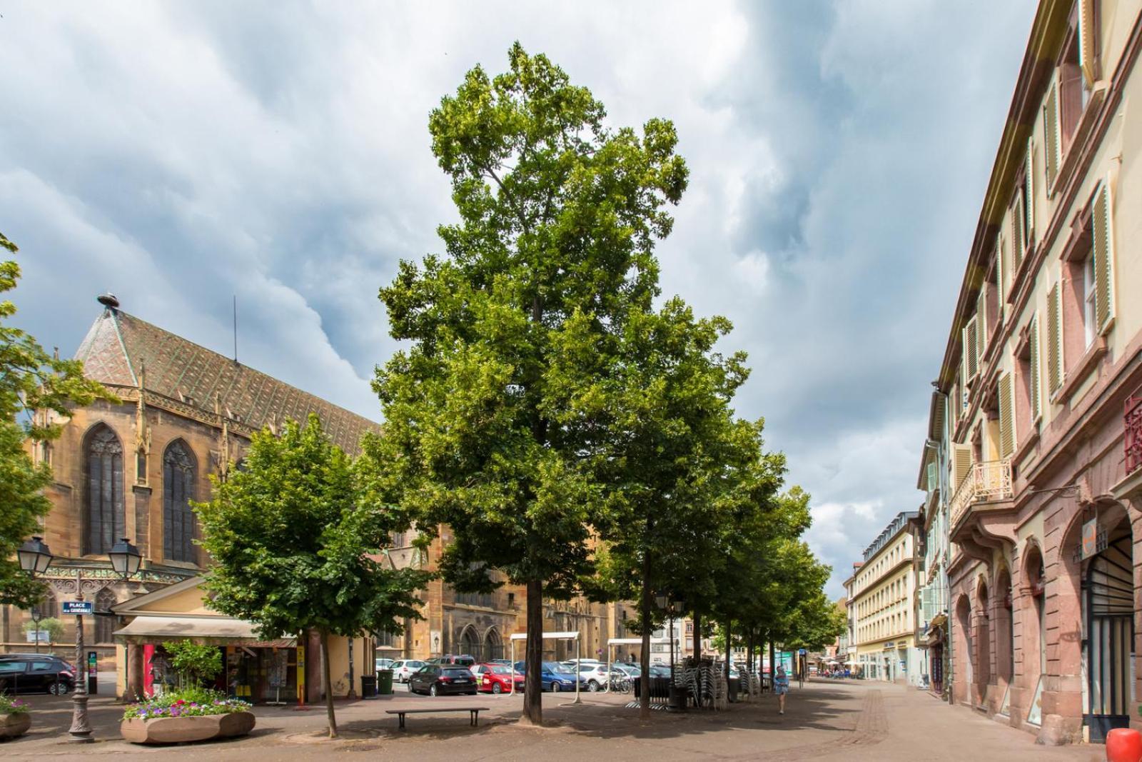 Ferienwohnung Le Griffon Colmar Exterior foto